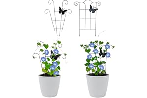 JuniLty 2 Pack Garden Trellis for Climbing Plants Butterfly Kit Special Design, Small Trellis for Potted Plants Black Metal Climbing Plant Trellis Indoor Outdoor Plant Stakes Support Growth of Ivy