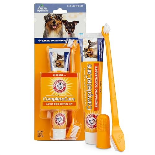 Arm & Hammer Dog Dental Kit - Enzymatic Dog Toothpaste 2.5 oz Chicken ...