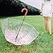 Dracarys Transparent Umbrella - Sakura Umbrella - Clear Cherry Umbrella - Flower Bubble Dome Shape Rain Umbrella - Half Automatic Umbrella for Girls Ladies and Kids – Dracarys (red)