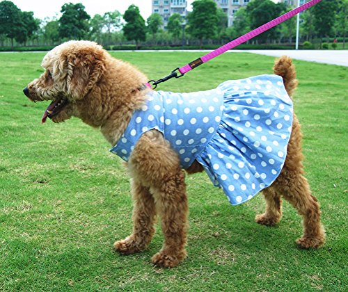 Alroman Dog Dresses Pets Clothes Pet Dresses Doggie Skirt Puppy Clothes Dog Clothes Puppy Apparel Cat Dresses Dog Outfits (XS, Blue Dot)