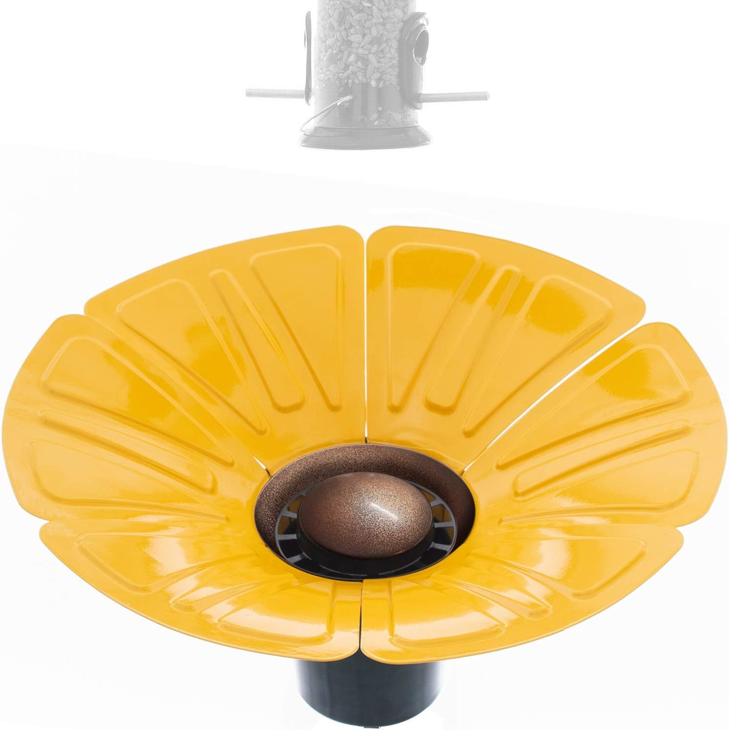 wild bird accessories