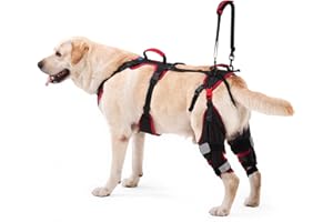 Lafoty Dog Knee Brace with Lift Harness for Back Legs, Set of 2 – Adjustable Non-Slip Support for Large & Senior Dogs, ACL/CC