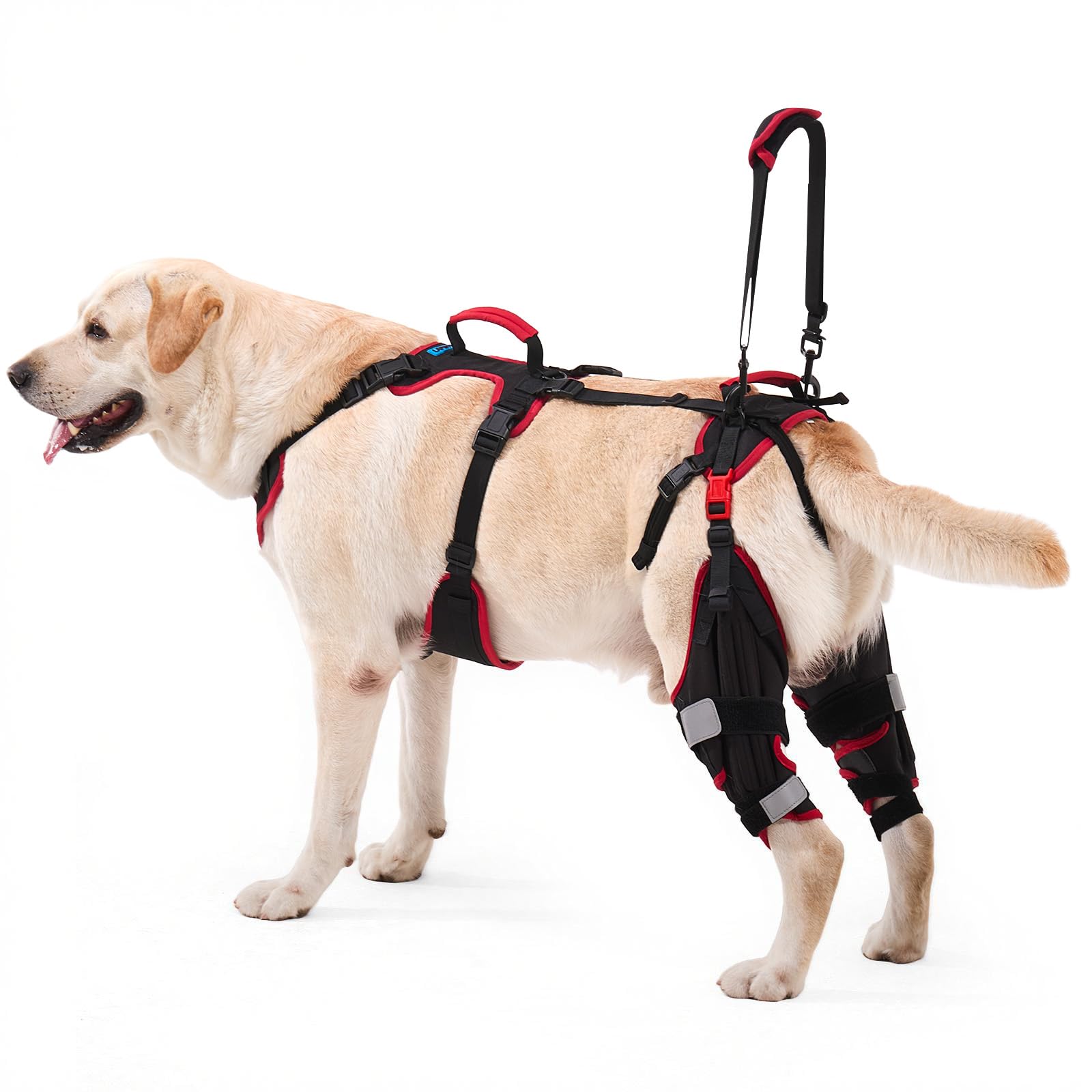 Photo 1 of Lafoty Dog Knee Brace with Lift Harness for Back Legs, Set of 2 – Adjustable Non-Slip Support for Large & Senior Dogs, ACL/CCL Injury & Mobility Aid, Black, X-Large