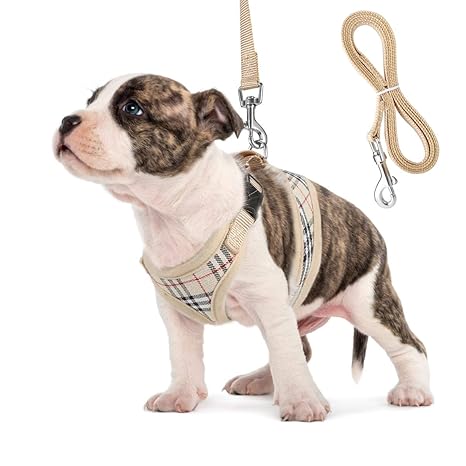 Kleine Hunde Geschirr Katze Geschirr – unihubys weichem Mesh-Hundegeschirr keine Pull Komfort Gepolsterte Weste für Welpen od