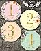 Newborn Baby Girl Gold Floral Milestone Stickers, 1st Year Belly Decals, Set of 12 Monthly Photo Props for Infant Onesie, Scrapbook Keepsake Shower Basket & Registry Gifts