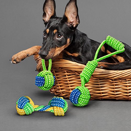 Illumifun Dog Chew Rope Toys Set, Pack of 3 PCS Cotton Puppy Pet Chew Toys Dental Teaser Kit for Small& Medium Dogs Interactive Play