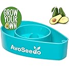 AvoSeedo Bowl Grown Your Own Avocado Tree, Evergreen, Perfect Avocado Tree Growing Kit for Every Avocado Lover - Blue