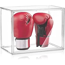 Vitrine en plexiglas pour Tsume Art® Athena