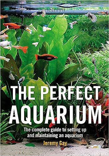 The Perfect Aquarium, by Jeremy Gay