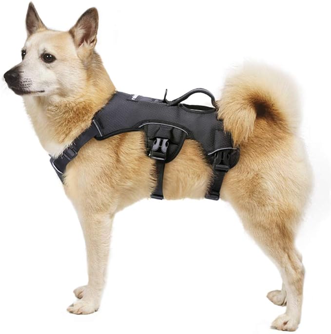 rabbitgoo EscapeProof Dog Harness NoPull Adjustable Reflective