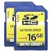 INLAND 16GB Class 10 SDHC Flash Memory Card Standard Full Size SD Chip USH-I U1 Trail Camera by Micro Center (2 Pack)