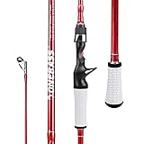 One Bass Fishing Rod, Spinning & Casting Fishing
