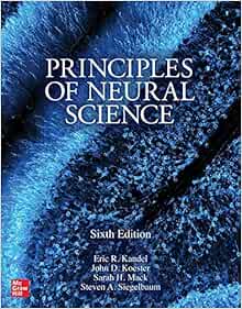 Principles of Neural Science, Sixth Edition: 9781259642234: Medicine