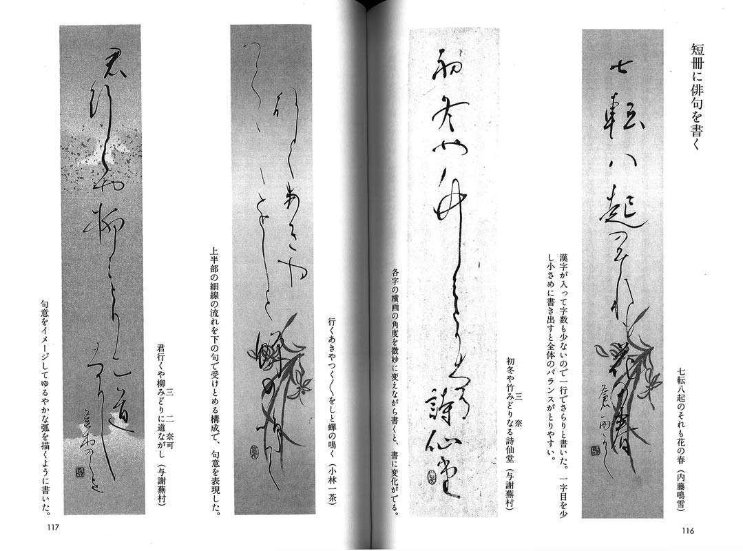 変体がなと連綿の独習 作品づくりの力をつけるかなの練習法 井上蒼雨 本 通販 Amazon