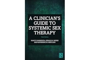 A Clinician's Guide to Systemic Sex Therapy