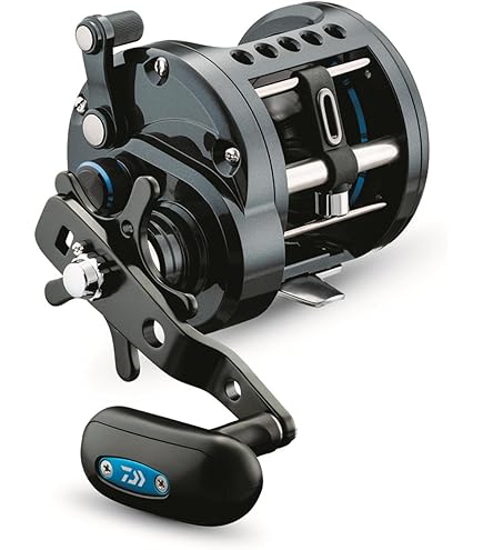 リール DAIWA - DAIWA CREST2004 & T-GAME SEABASS MATTER s