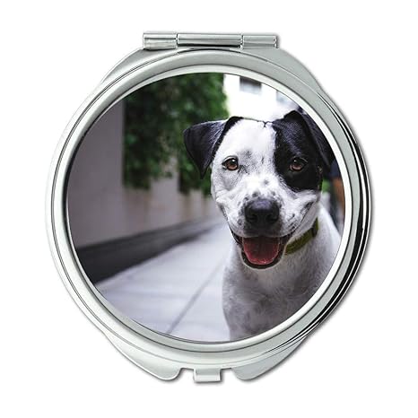 Yanteng Spiegel, Schminkspiegel, Adorable Dog Animal Breed Nette Augen suchen, Taschenspiegel, tragbarer Spiegel