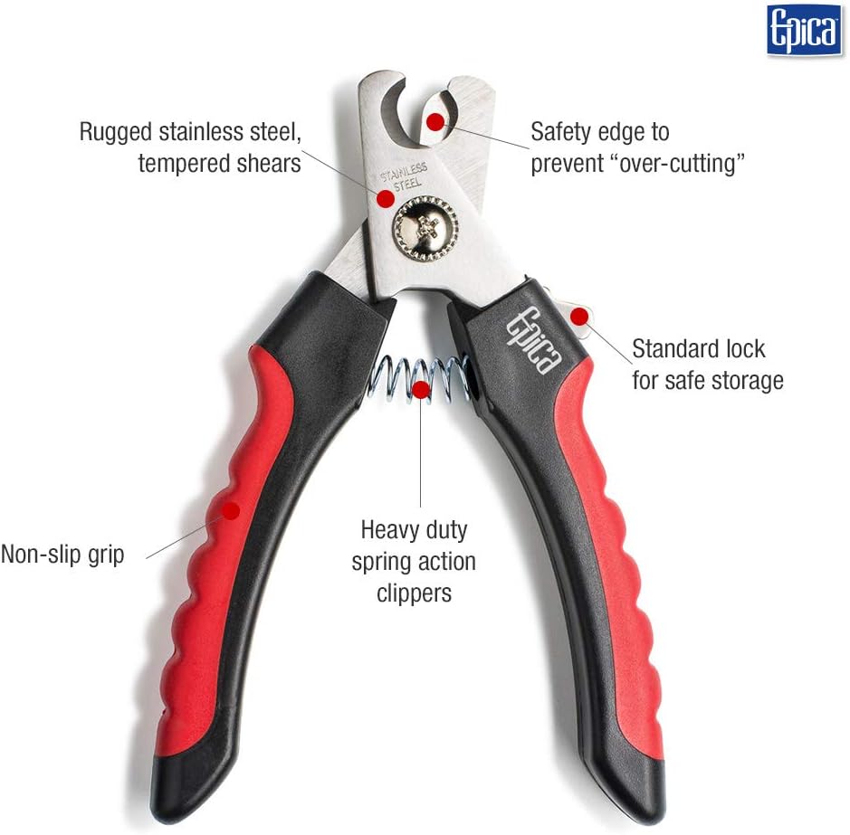 best dog nail clippers amazon