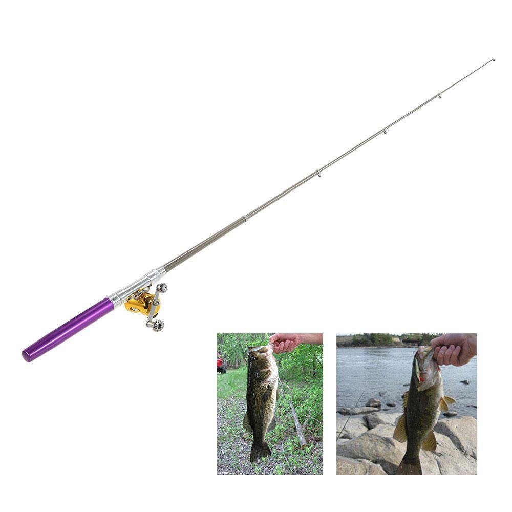 国際ブランド ロッド リールセット 7フィート0インチ Rg00h Ab Rg701mxs B07gnsgnwx Daiwa Rg スピニングコンボ Walleye 新しいコレクション Www Aiq Aiq Com Mx