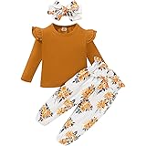 SANMIO Cute Floral Girl Clothes Outfits, Toddler Baby Girl Clothes Set Ruffle T-Shirt + Pant Set with Headband