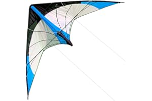 HENGDA KITE-Upgrade Star Rhyme 48 Inch Dual Line Stunt Kite for Kids and Adults,Outdoor Sports,Beach and Fun Sport Kite,Handle,Line,and Bag Included