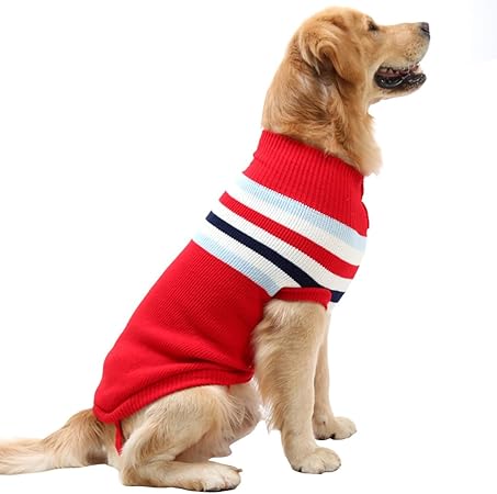 amazon dog apparel