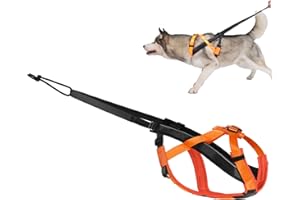 Dog Pulling Harness, Adjustable Dog Sled Harness for Behaviors Training, Weight Pulling, Canicross, Ski-Joring, Orange Pet Su