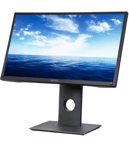 Amazon.com: Dell 23 Monitor P2317H 58.4cm (23Inch) Black