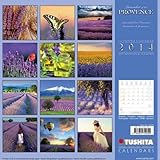 Image de Lavender of the Provence (What a Wonderful World)