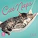 Cat Naps 2018 Wall Calendar (CA0114)