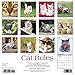Cat Rules 2017 Wall Calendar