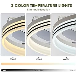 LUDOMIDE Smart Ceiling Fan with