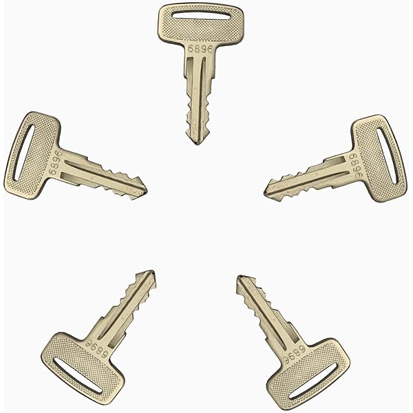 Amazon.com: Aftermarket Replacement for Cat Wire kit - Ignition 