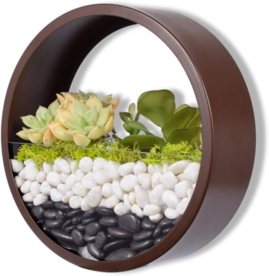 Metal Wall Hanging Planter,2 in 1 Portable Creative Flower Pots and Clear Terrarium,Balcony Stairs Plants Holders Iron Bucket Flowers Hanger Glass Vertical Container with Detachable Screw,M,Brown