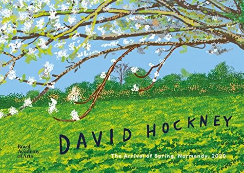 Amazon.com: Hockney's Pictures: 9780500286715: Hockney, David: Books