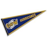 Georgia Southwestern State Hurricanes Pennant