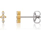 Limerencia Implant Grade Pure Titanium Studs, F136 Hypoallergenic G23 Small Dainty Cubic Zirconia Earrings for Women's Sensitive Ears