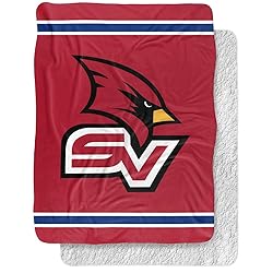 Saginaw Valley State University