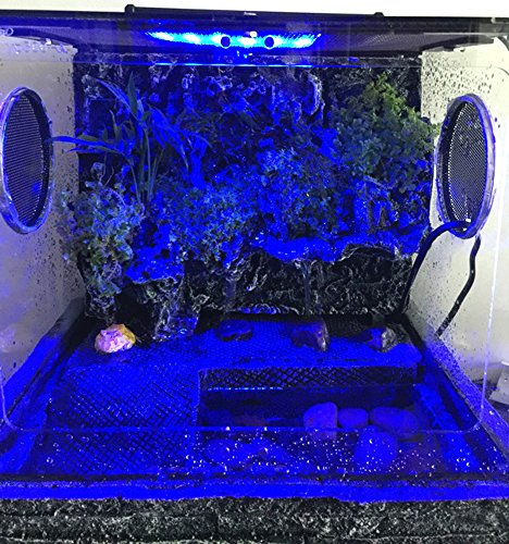 Hoke Day/Night LED Light Hood for Terrarium, White and Blue LEDs
