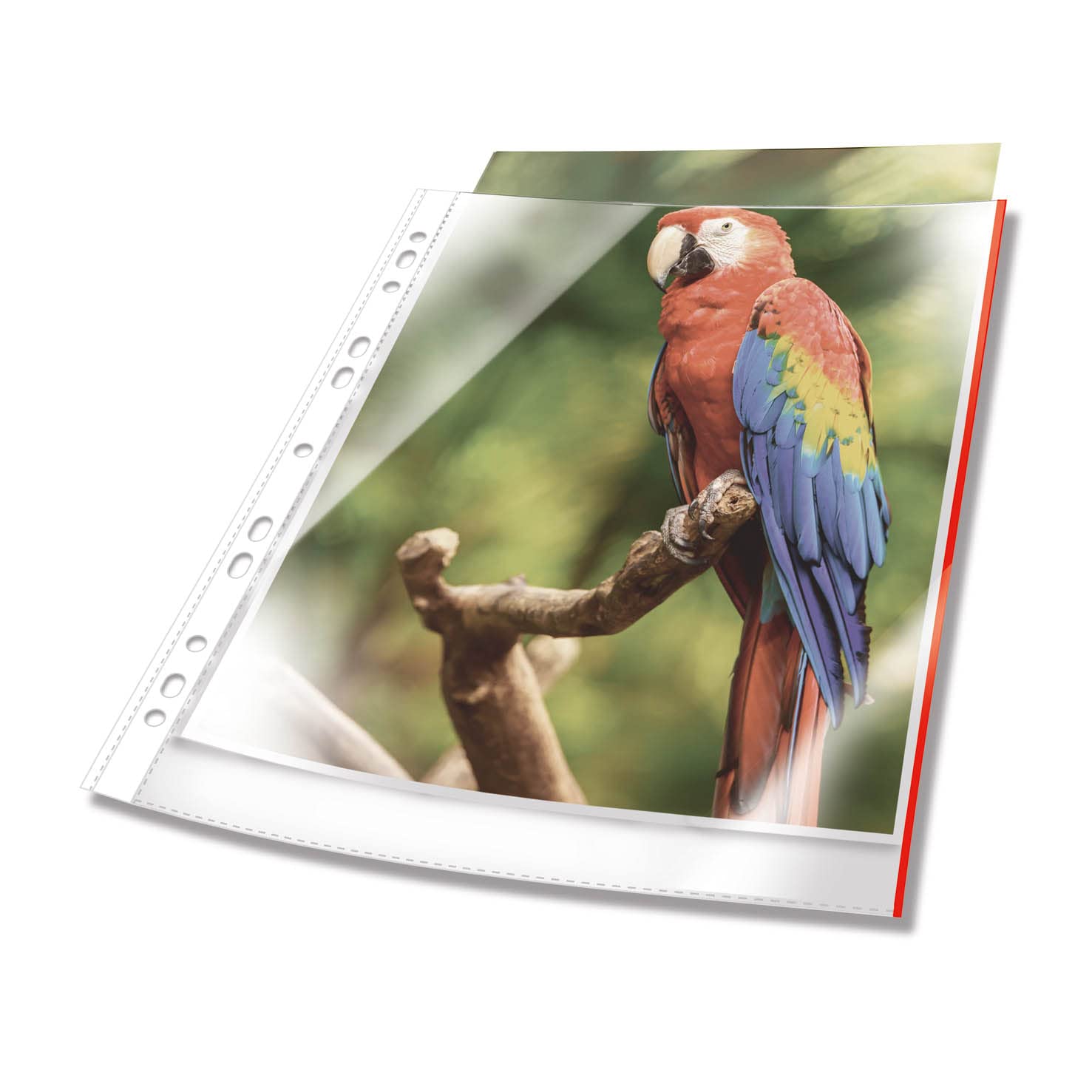 Durable Premium A4 Poly Pockets with Coloured Edge Red - Crystal Clear and Made from PP - Pack of 100 Plastic Wallets