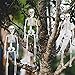 3PCs Halloween Skeleton 16 inch with Movable Joints for Halloween Party Favors，Halloween Decorations