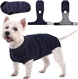 Kuoser Dog Recovery Suit Shirt After-Surgery Blue Stripe XS