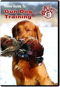 hunting dog equipment