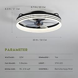 LUDOMIDE Ceiling Fans with Lights, Flush Mount