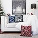Homey COZY Embroidery Gray Velvet Throw Pillow Cover, Merry Christmas Series Snowflake Floral Wreath Luxury Soft Fuzzy Cozy Warm Slik Gift Square Couch Cushion Pillow Case 20 x 20 Inch, Cover Only