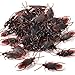Gejoy 100 Pieces Prank Fake Roaches Plastic Cockroach Bug Joke Toys for Halloween Fool's Day Party