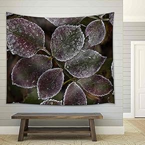 Autumn Leaves with Frost - Closeup - Fabric Wall Tapestry Home Decor - 51x60 inches