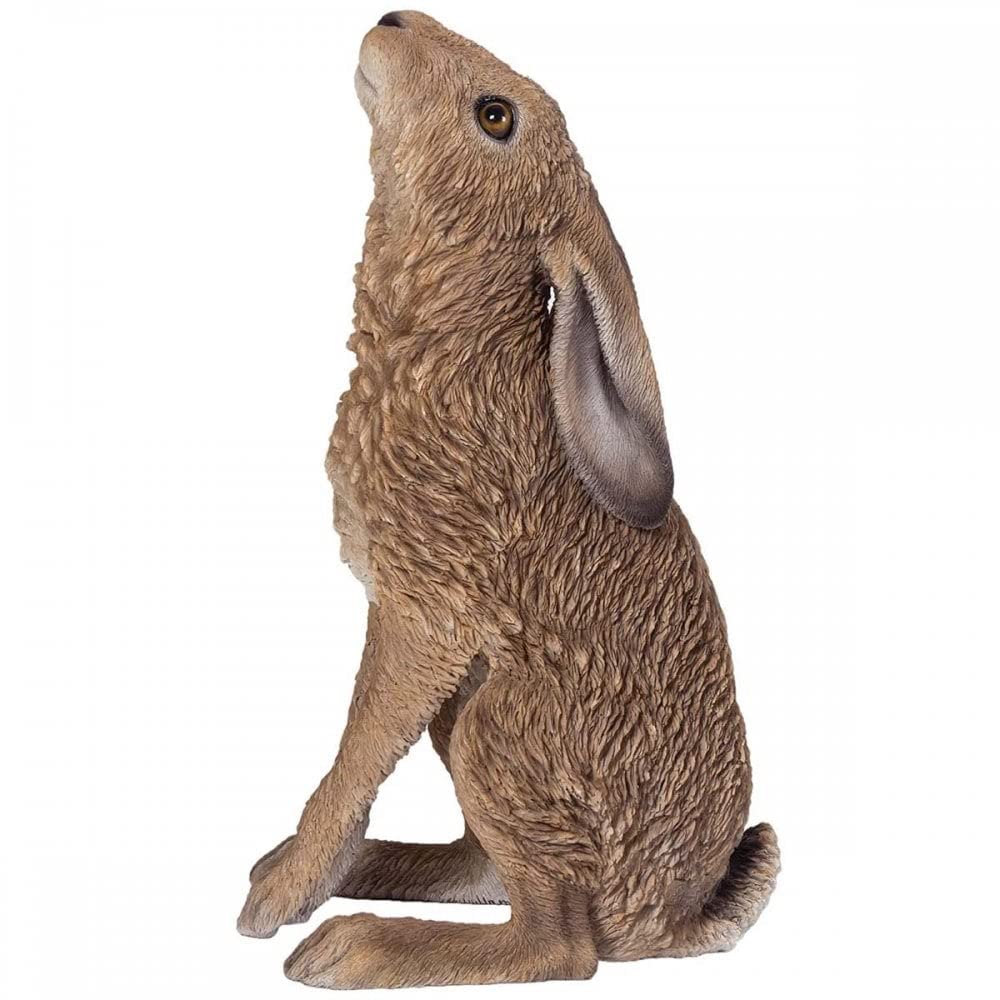 M.E.G Cards & Gifts Vivid Arts - Real Life Moon Gazing Hare Home or Garden Decoration (XRL-HR01-A)