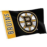 Desert Cactus Boston Bruins 100% Polyester Indoor Outdoor 3x5 feet Banner NHL National Hockey League Team (Flag Z)