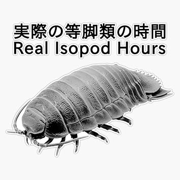 Amazon Com Real Isopod Hours Sticker Vinyl Waterproof Sticker Decal Car Laptop Wall Window Bumper Sticker 5 Automotive
